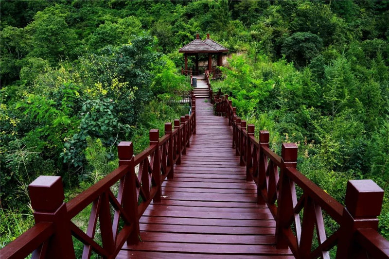 201908231566531048196181.jpg 20190823_112745_023.jpg