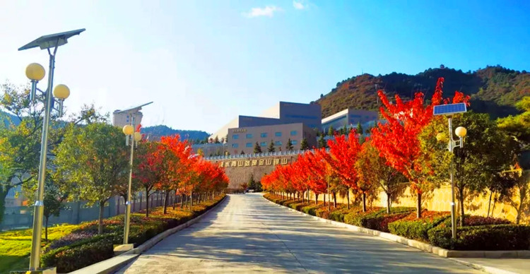 202005251590389391138734.jpg 20200525_144704_010.jpg