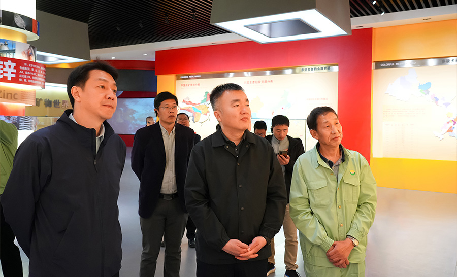 10.4-2024年04月，自然資源部礦保司副司長(zhǎng)王博蒞臨公司調(diào)研。.jpg
