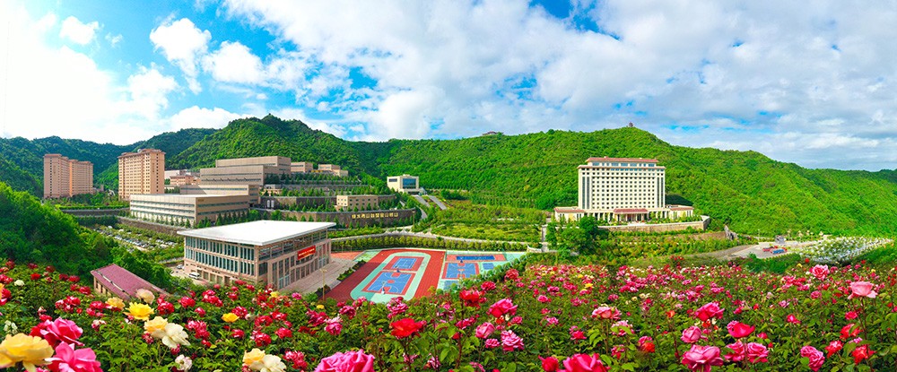 202407151721016749548334.jpg 12.jpg