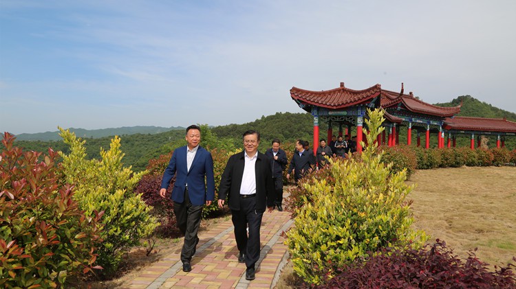 省人民檢察院黨組書記、檢察長朱玉調(diào)研金徽股份