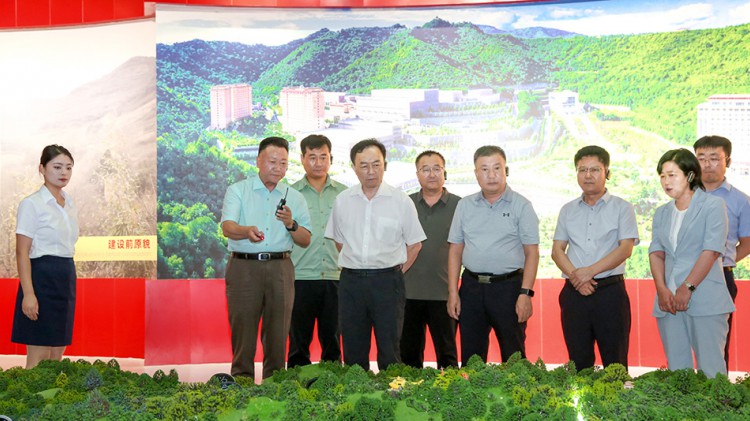 自然資源部礦業(yè)權(quán)管理司調(diào)研組蒞臨金徽股份指導工作